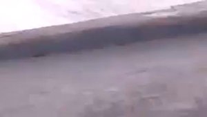 Погоня за браконьерской лодкой.