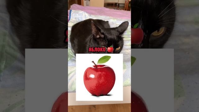 КАКОЙ ФРУКТ КРУЧЕ?? смотреть онлайн