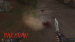 S.T.A.L.K.E.R.: "Золотой обоз 2" Где тайник с КПК/ПДА для Беса
