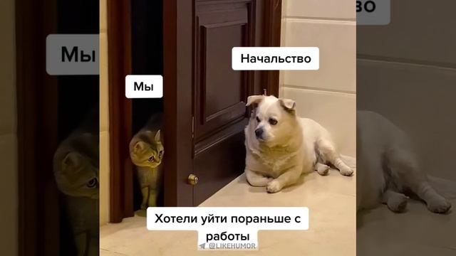 Можно я пораньше уйду