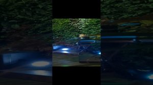 "Любовь похожая на сон"