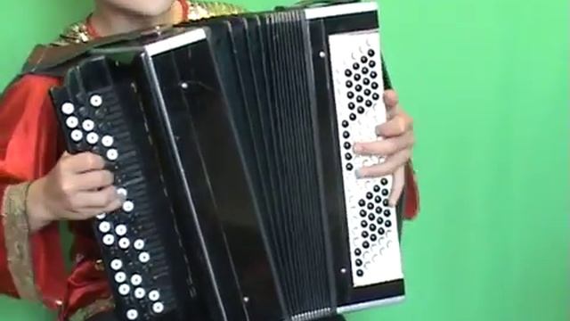 Цыганская венгерка Баян Алексеев Егор смотреть онлайн