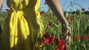 Реснички Автор-Е.Ваенга спела Г.Погорельская Кислякова..mp4