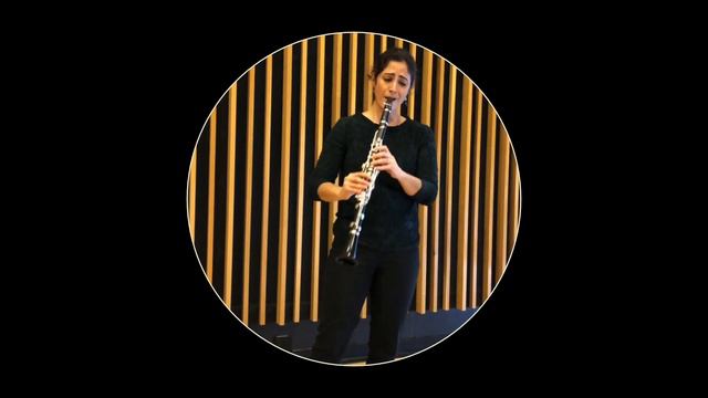 The Kingston Symphony performs Mozarts Clarinet Concerto Movement 1