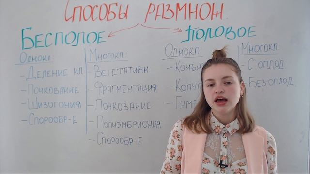 Способы размножения. Половое и бесполое размножение.