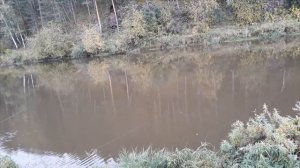 Видео рыбалки в сентябре, язь 1600/щука/карась/лещ река Реж