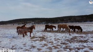 Самая красивая мелодия в мире... Эту музыку можно слушать вечно! Слушать одно удовольствие