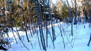 Первый металл 2022, открыл сезон, коп металла