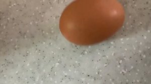 когда яйцо упала со стола