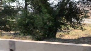 Киргизия. Чуйская долина. Река Чу перед Боомским ущельем.