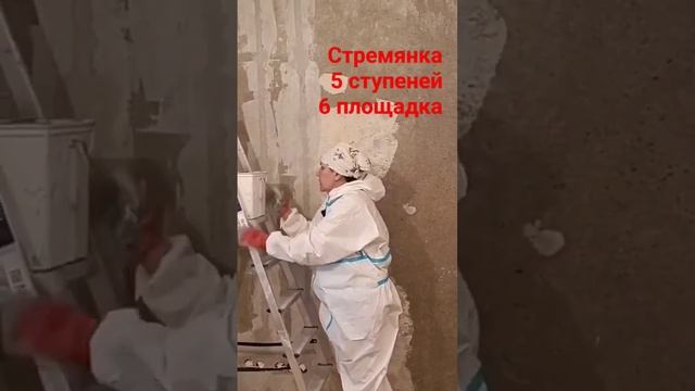 Стремянка  #малярныеработы  #малярныйинструмент #стремянка