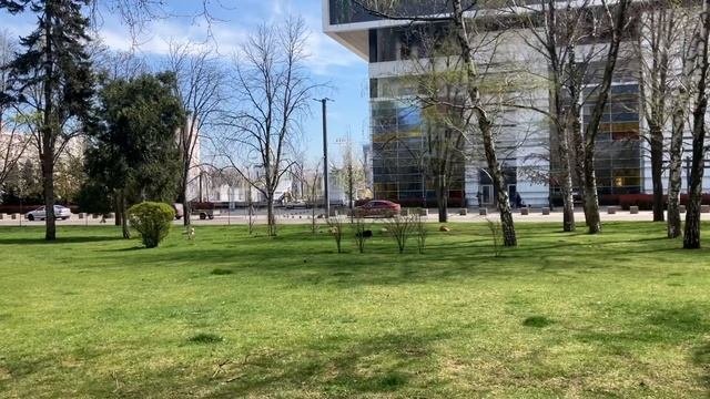 Долгострои улица Красная в Краснодаре