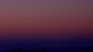 George Ezra - Paradise (Lyrics)