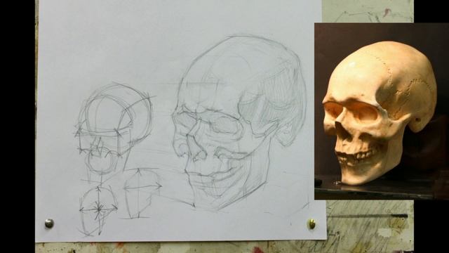 Обучение рисунку. Портрет. 19 серия: рисунок черепа в 2 ракурсах, 1 часть. смотреть онлайн
