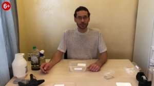 Посев семян Павловнии на салфетку.  Всхожесть семян Павловнии.