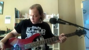 бас гитара ashtone AB 204