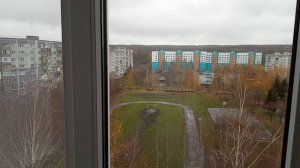 Зимовка розмарина на лоджии