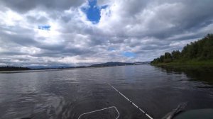 Рыбалка на сазана на реке Баргузин  9 июля