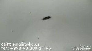 Профессиональное Покрытие чугунной ванны наливным акрилом Стакрил Эколор в Ташкенте