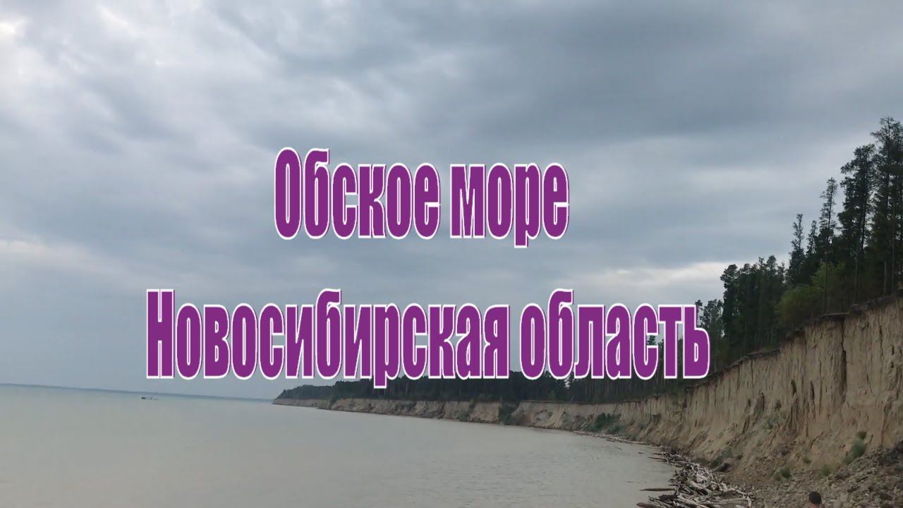 Обское море. Сосновый бор на берегу. Село Ленинское.