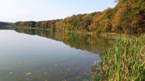 《 Не прожить нам в мире этом...》: Музыкальная поэзия