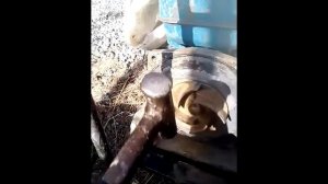 замена сальника на мотопомпе)