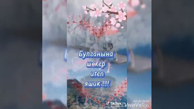 Син кадерлем