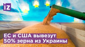 Европа и США могут восстановить рынок зерна только на 50% - Госдеп / Известия