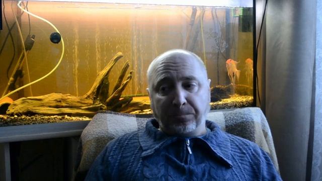 По чём яичко?О средних ценах на инкубационное яйцо.Механизм формирования цен на ИЯ породной птицы. смотреть онлайн