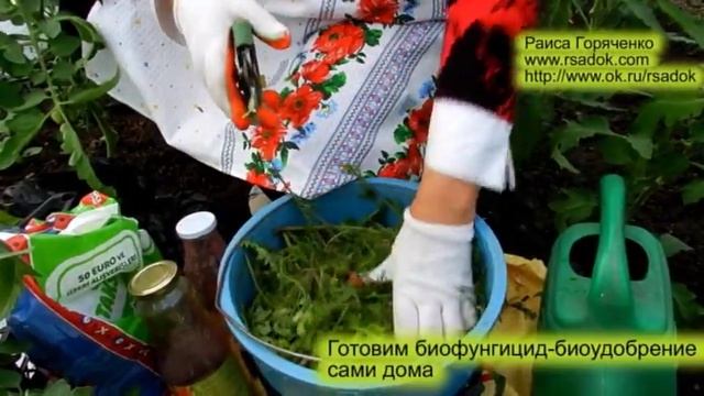 Готовим биофунгицид биоудобрение сами дома