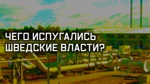 «Дружба» врозь. Нефтяное харакири Европы. Специальный репортаж