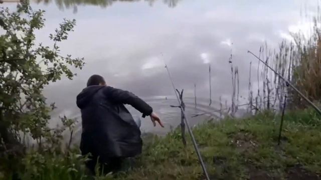 Рыбалка на карпа / Много Рыбы / Все в Хлам / Как поймать карпа