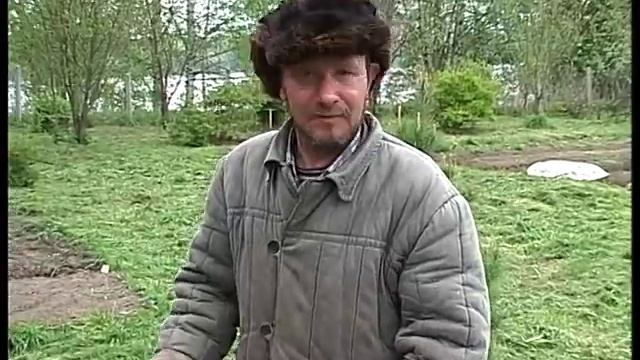 Встреча на Вятке фельетон
