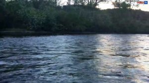 ГОРНАЯ РЫБАЛКА в Хабаровском крае 2017. ТАЙМЕНЬ, ЛЕНОК и ХАРИУС