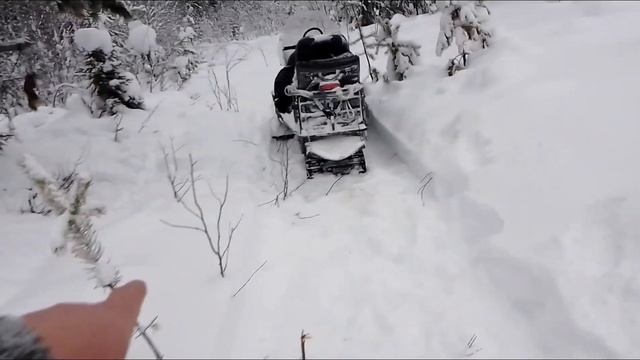 Йети в сибирских лесах варуют приманку✓ смотреть онлайн