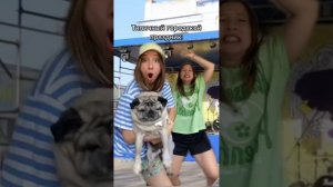 Дана Несвит сборник часть 6