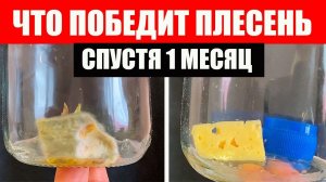 Что случилось с продуктами спустя 1 месяц. Длительное хранение продуктов