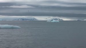 Научная экспедиция на НИС «Профессор Молчанов»