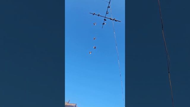нет стабильности в ветре ,  но аппетит хороший :) :)