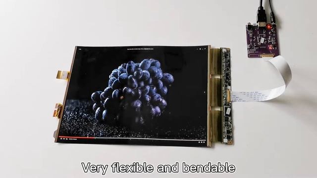 WISECOCO 13.3 Inch OLED Flexible Display смотреть онлайн