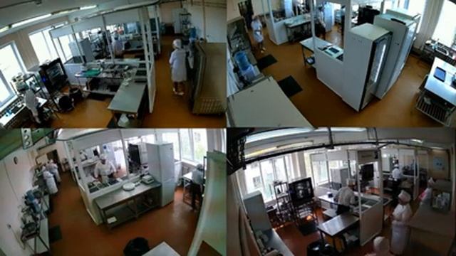 Демонстрационный экзамен - 2019 по компетенции "Поварское дело" смотреть онлайн