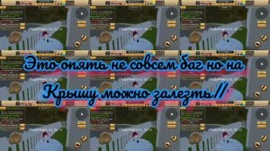 показываю баги в cat simulator animal life в пригороде