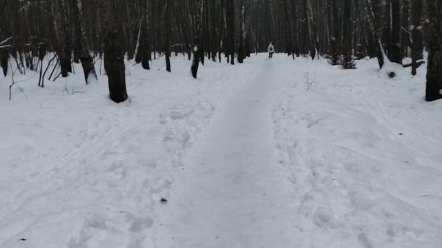 Семейное поздравление с Новым 2023 годом во время прогулки в лесу