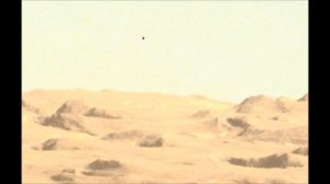 Birds On Mars/Птица на Марсе/Pájaro en Marte