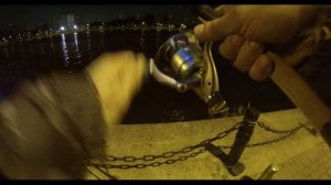 Лещи на фидер.  Ночная рыбалка в Братеево.