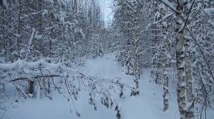 Больше никаких лыж.)