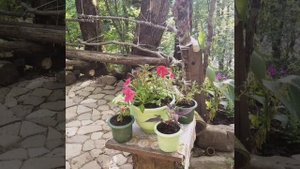 ШАПСУГА - место Силы!