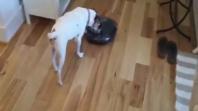 робот пылесос размазал смотреть онлайн