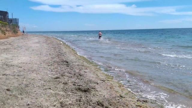 Чудо-игрушка Jolly egg ? смотреть онлайн