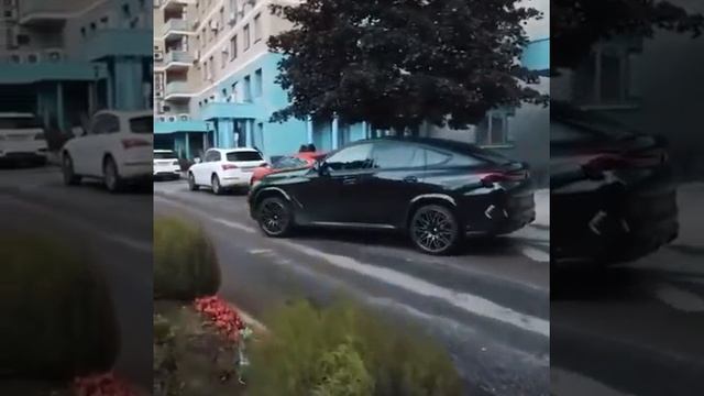 Девушка или собака - кого выбрать? :-)